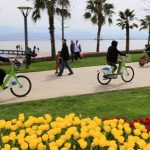 OK86-KENTİÇİULAŞIM-KOCAELİ-KOBİS3